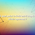 Question : À quel point le froid est-il trop froid pour les bébés agneaux ?